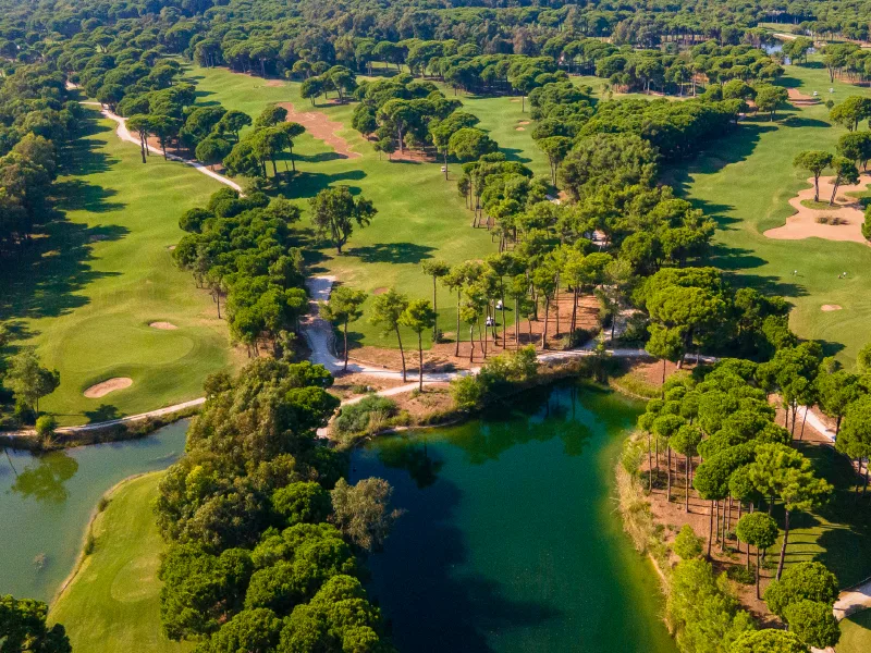 Sueno Pines Course · course view