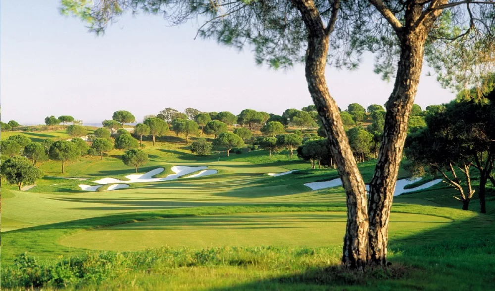 Tree framing the fairway and bunkers on Monte Rei North Course